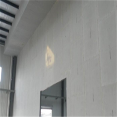 通化宁波ALC板|EPS加气板隔墙与混凝土整浇联接的实验研讨
